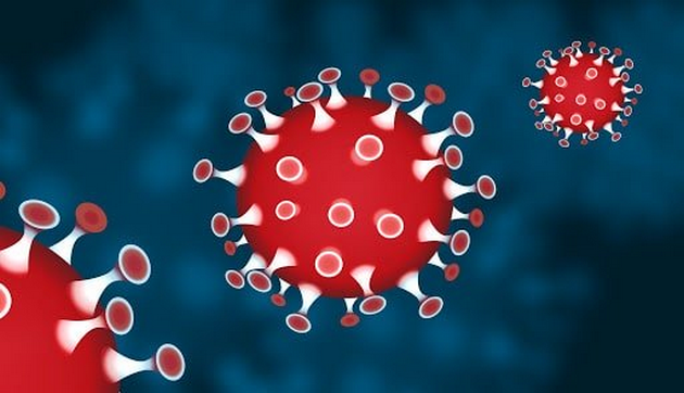 Le virus de la désinformation